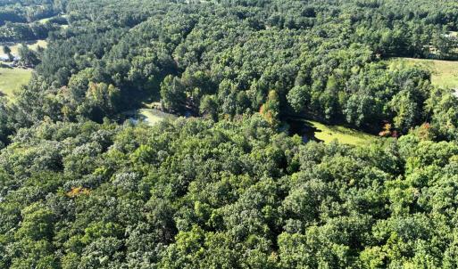 Photo #10 of 10.27 Acre College Park Lane, Keysville, VA 10.3 acres