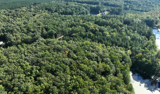 Photo #11 of 10.27 Acre College Park Lane, Keysville, VA 10.3 acres