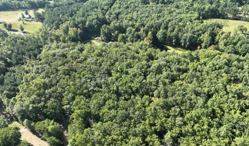 Photo #12 of 10.27 Acre College Park Lane, Keysville, VA 10.3 acres