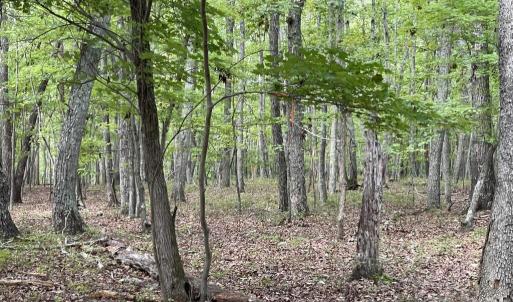 Photo #16 of 10.27 Acre College Park Lane, Keysville, VA 10.3 acres