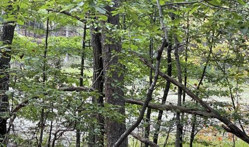 Photo #20 of 10.27 Acre College Park Lane, Keysville, VA 10.3 acres