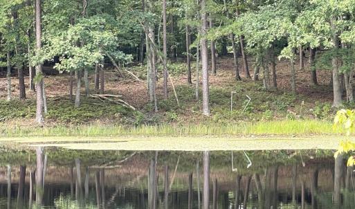 Photo #22 of 10.27 Acre College Park Lane, Keysville, VA 10.3 acres