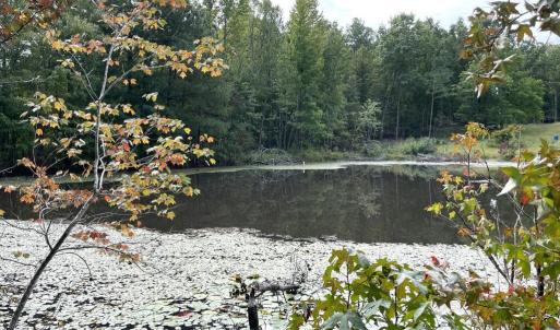 Photo #25 of 10.27 Acre College Park Lane, Keysville, VA 10.3 acres