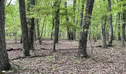 Photo #26 of 10.27 Acre College Park Lane, Keysville, VA 10.3 acres