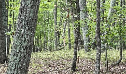Photo #27 of 10.27 Acre College Park Lane, Keysville, VA 10.3 acres