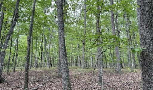Photo #28 of 10.27 Acre College Park Lane, Keysville, VA 10.3 acres
