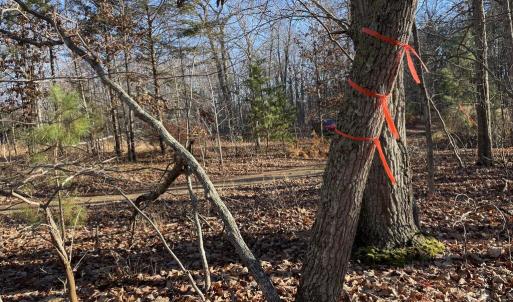 Photo #3 of 10.27 Acre College Park Lane, Keysville, VA 10.3 acres