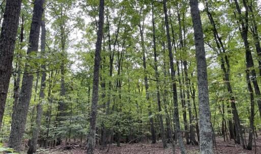 Photo #30 of 10.27 Acre College Park Lane, Keysville, VA 10.3 acres