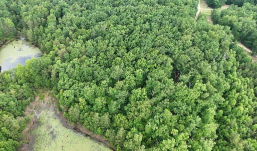 Photo #4 of 10.27 Acre College Park Lane, Keysville, VA 10.3 acres