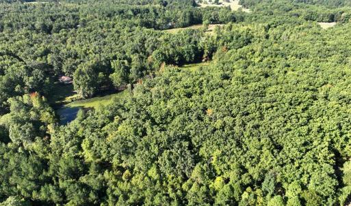 Photo #5 of 10.27 Acre College Park Lane, Keysville, VA 10.3 acres