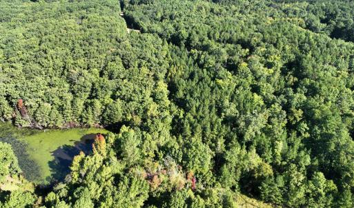 Photo #6 of 10.27 Acre College Park Lane, Keysville, VA 10.3 acres