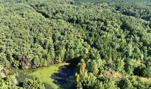 Photo #7 of 10.27 Acre College Park Lane, Keysville, VA 10.3 acres
