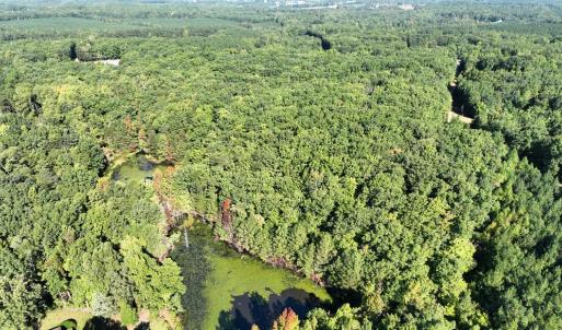 Photo #8 of 10.27 Acre College Park Lane, Keysville, VA 10.3 acres