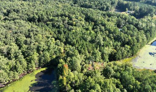Photo #9 of 10.27 Acre College Park Lane, Keysville, VA 10.3 acres