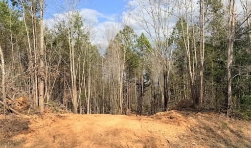Photo #5 of 631 Trinity Church Rd, South Hill, VA 3.8 acres