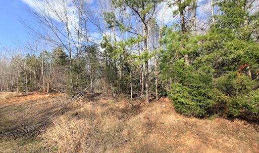 Photo #6 of 631 Trinity Church Rd, South Hill, VA 3.8 acres