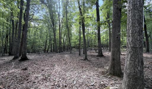 Photo #10 of Piney Mountain Lane, Shipman, VA 12.1 acres
