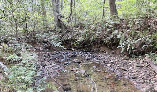 Photo #11 of Piney Mountain Lane, Shipman, VA 12.1 acres