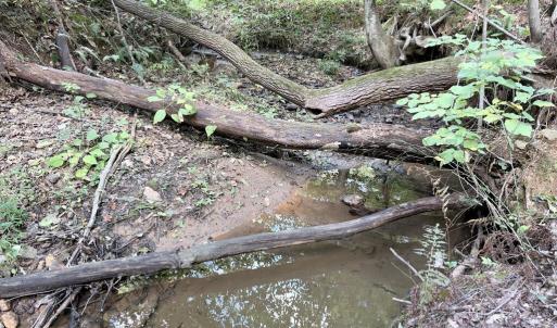 Photo #13 of Piney Mountain Lane, Shipman, VA 12.1 acres