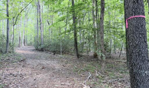 Photo #16 of Piney Mountain Lane, Shipman, VA 12.1 acres