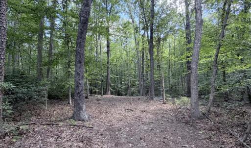 Photo #17 of Piney Mountain Lane, Shipman, VA 12.1 acres