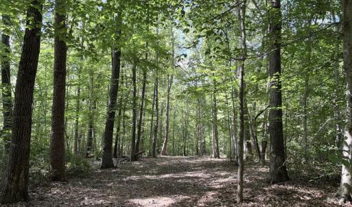 Photo #2 of Piney Mountain Lane, Shipman, VA 12.1 acres