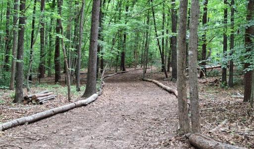 Photo #3 of Piney Mountain Lane, Shipman, VA 12.1 acres