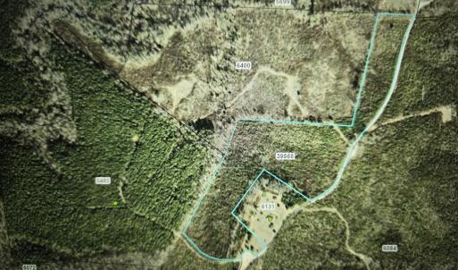 Photo #6 of 0 Wayside Road, Baskerville, VA 15.5 acres