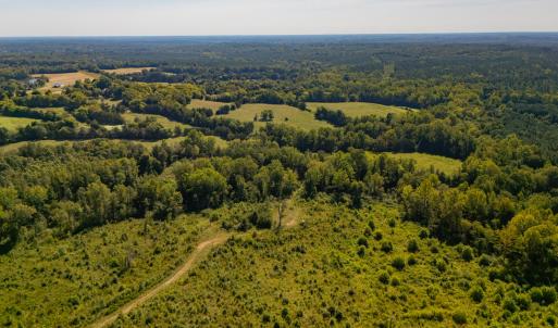 Photo #10 of 00 Mountain Hall, Crewe, VA 17.0 acres
