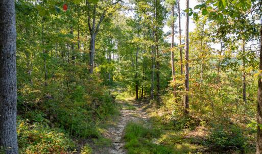 Photo #4 of 00 Mountain Hall, Crewe, VA 17.0 acres