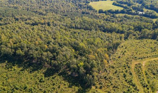 Photo #6 of 00 Mountain Hall, Crewe, VA 17.0 acres