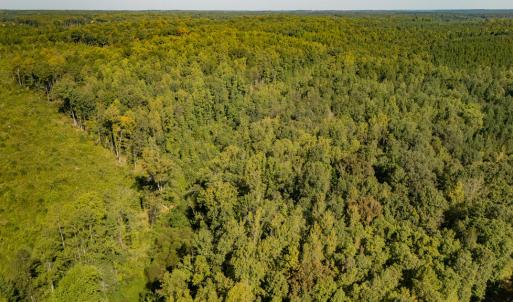 Photo #7 of 00 Mountain Hall, Crewe, VA 17.0 acres