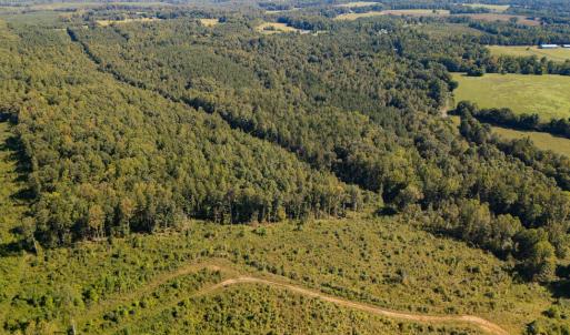 Photo #8 of 00 Mountain Hall, Crewe, VA 17.0 acres