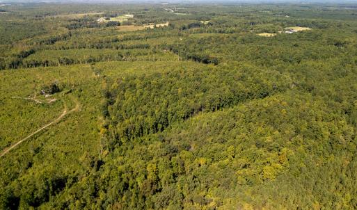 Photo #9 of 00 Mountain Hall, Crewe, VA 17.0 acres