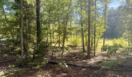 Photo #3 of Watson Blvd, Meherrin, VA 2.0 acres