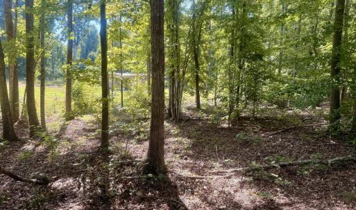 Photo #4 of Watson Blvd, Meherrin, VA 2.0 acres