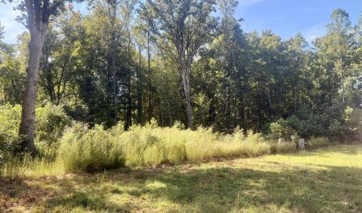 Photo #5 of Watson Blvd, Meherrin, VA 2.0 acres