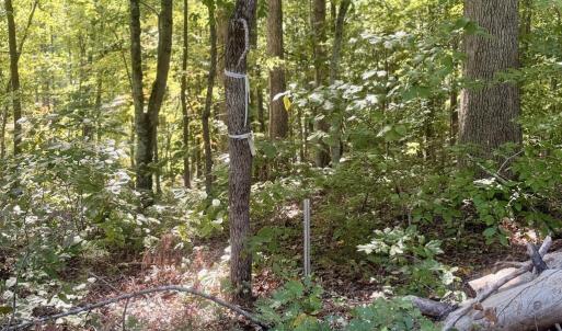 Photo #6 of Watson Blvd, Meherrin, VA 2.0 acres