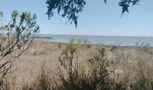 Photo #7 of Lot 3 LAUGHING GULL WAVE, ACCOMAC, VA 1.9 acres