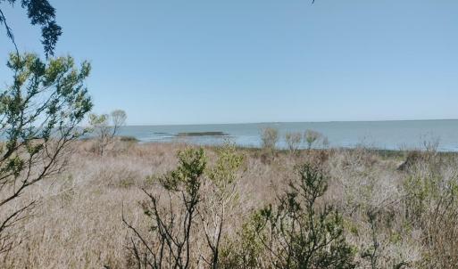 Photo #8 of Lot 3 LAUGHING GULL WAVE, ACCOMAC, VA 1.9 acres