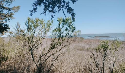 Photo #9 of Lot 3 LAUGHING GULL WAVE, ACCOMAC, VA 1.9 acres