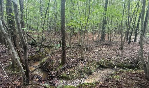 Photo #10 of Westpoint Stevens Rd, Drakes Branch, VA 13.5 acres