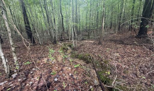 Photo #11 of Westpoint Stevens Rd, Drakes Branch, VA 13.5 acres