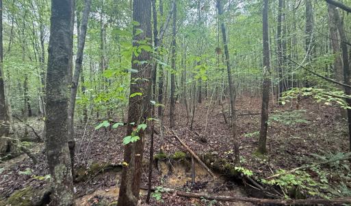 Photo #12 of Westpoint Stevens Rd, Drakes Branch, VA 13.5 acres