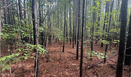Photo #5 of Westpoint Stevens Rd, Drakes Branch, VA 13.5 acres