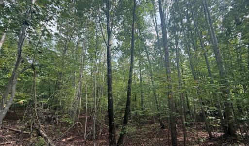Photo #6 of Westpoint Stevens Rd, Drakes Branch, VA 13.5 acres