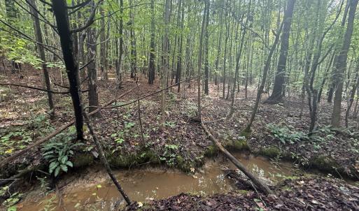 Photo #9 of Westpoint Stevens Rd, Drakes Branch, VA 13.5 acres