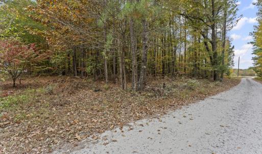 Photo #4 of 00 Pine Ridge Rd, Jetersville, VA 3.1 acres