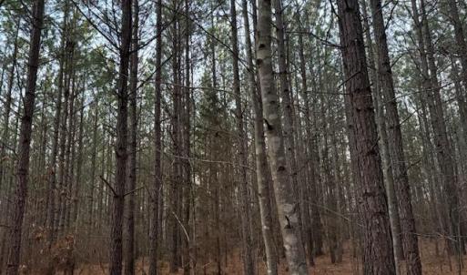 Photo #10 of Piney Mountain Road, Appomattox, VA 23.2 acres