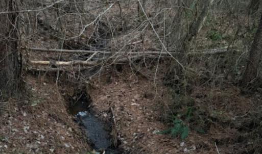 Photo #17 of Piney Mountain Road, Appomattox, VA 23.2 acres